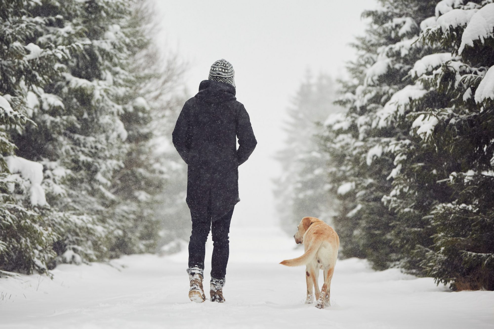 Woman and dog walking in the snow.